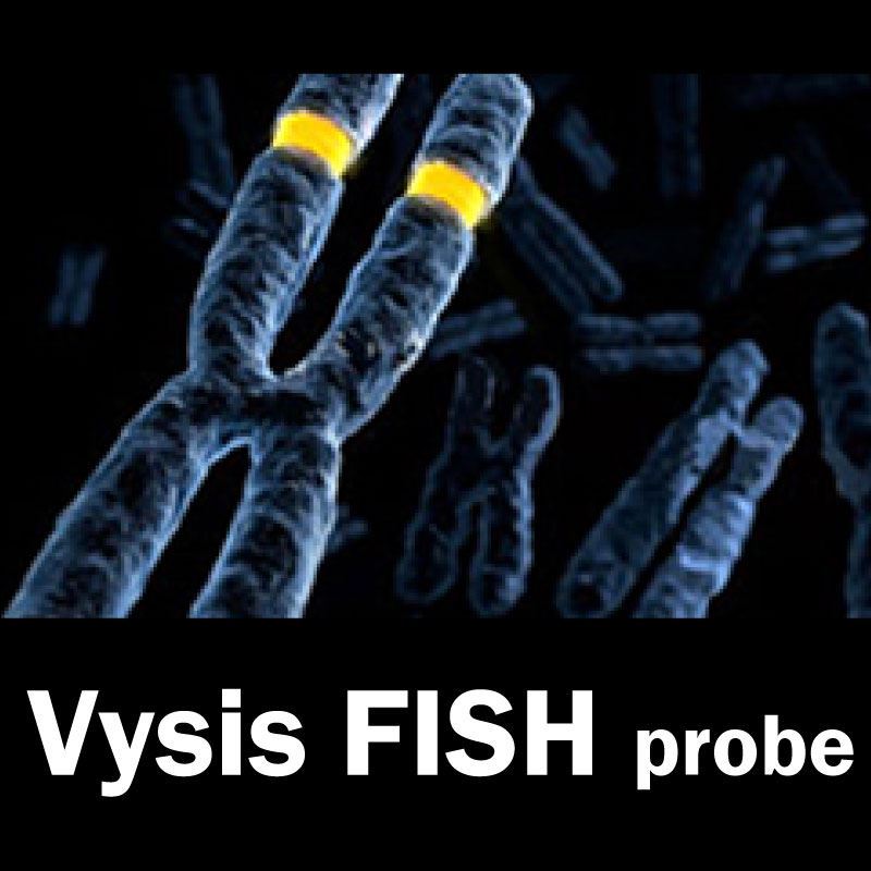 Vysis Laber 弘晉-Abbott-Vysis