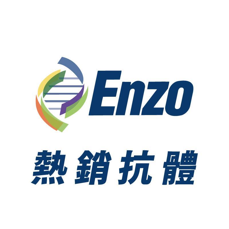 Enzo Script 弘晉-Enzo熱銷抗體